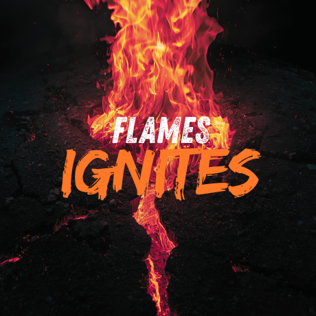 Flames Ignite cover art